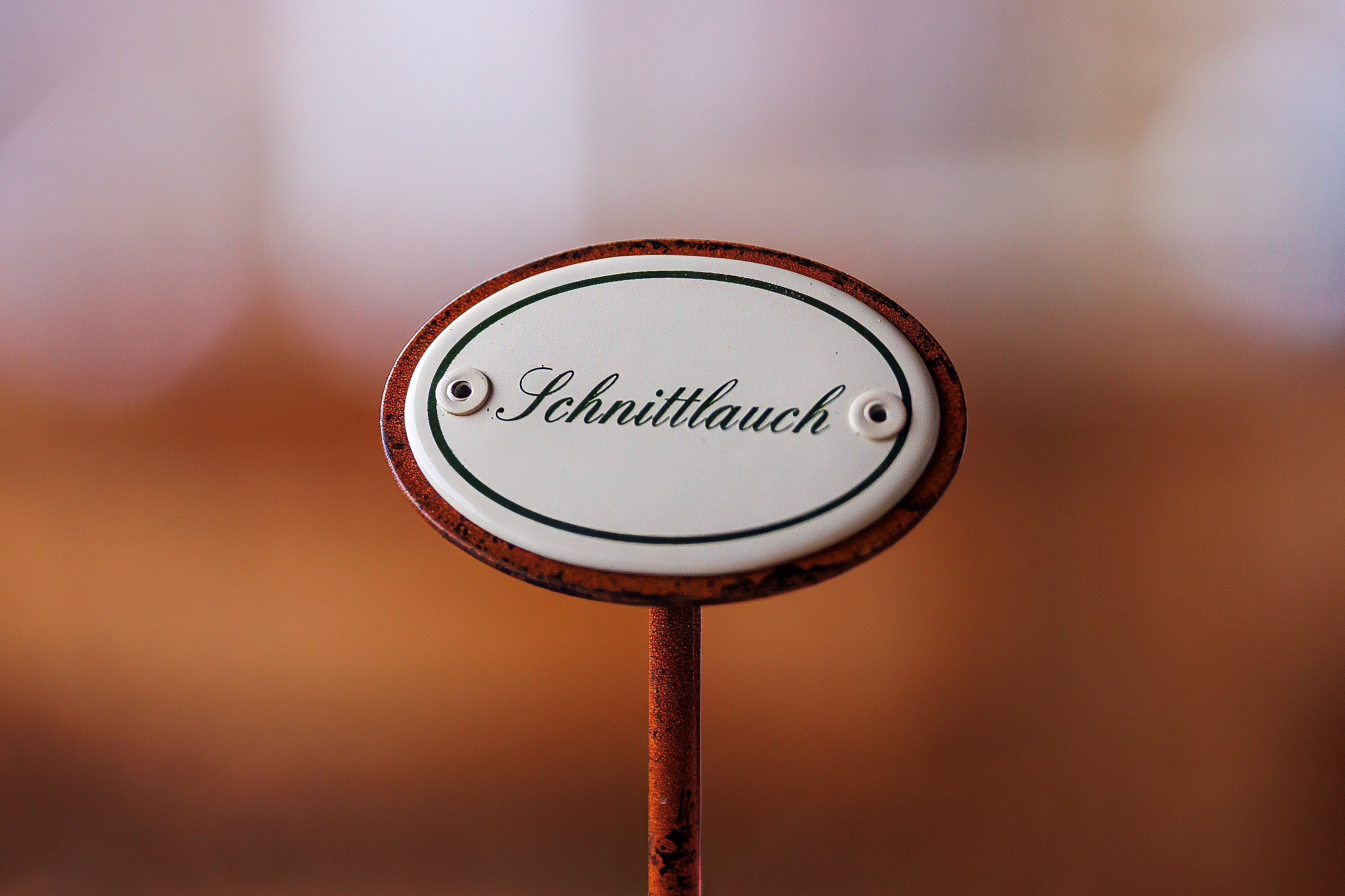 Vorschaubild 14